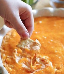 Chicken Wing Dip