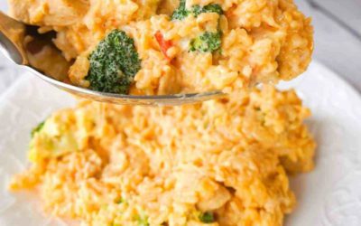 Insta-Cooker Cheesy Broccoli Chicken and Rice